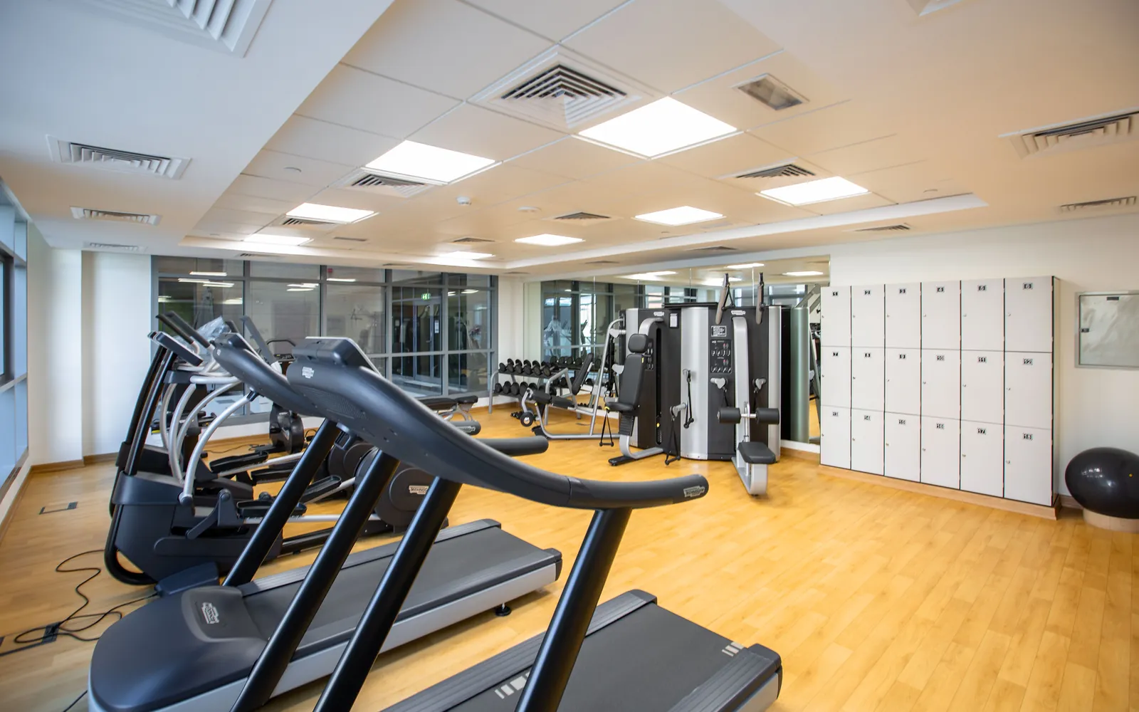 Rows of treadmills and strength machines inside a quiet gym.