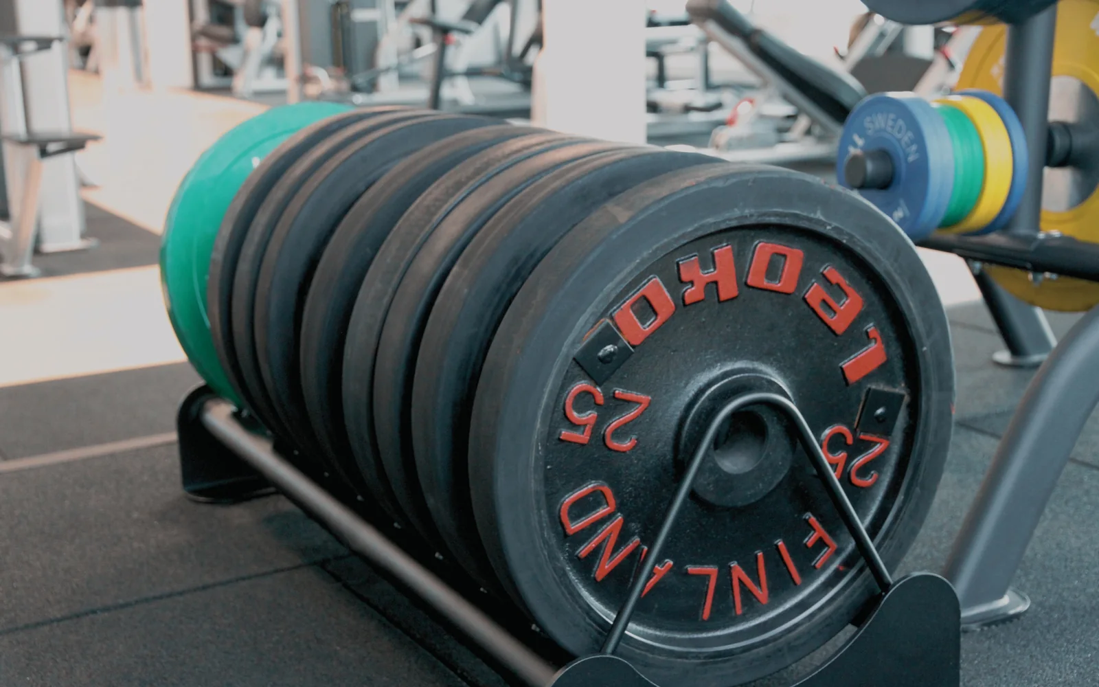 A row of bumper weight plates stacked on a gym floor rack.